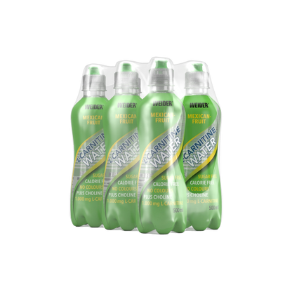 6er Pack | L-Carnitine Water